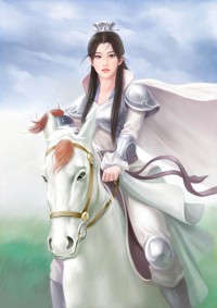 穆桂英征南